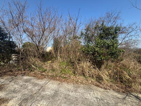 福岡市早良区早良5丁目土地の前面道路含む現地写真画像