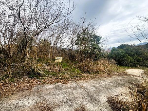 福岡市早良区早良5丁目土地の前面道路含む現地写真画像