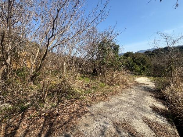 福岡市早良区早良5丁目土地の前面道路含む現地写真画像