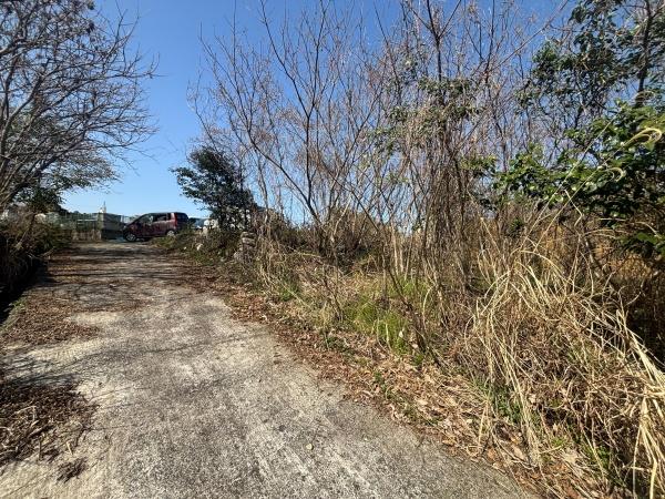 福岡市早良区早良5丁目土地の前面道路含む現地写真画像