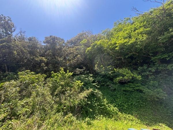 福岡市西区大字小田土地の現地土地写真画像