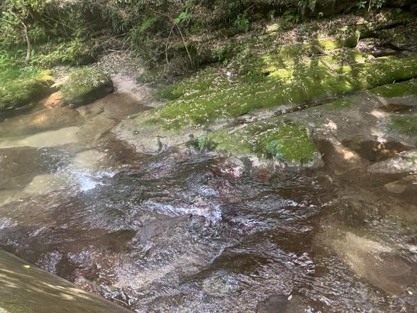 那珂川市大字西畑土地の現地土地写真画像