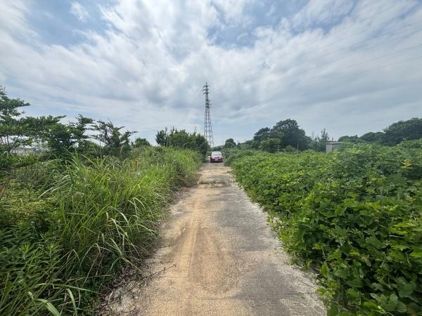 福津市上西郷字タケヲ土地のその他現地画像