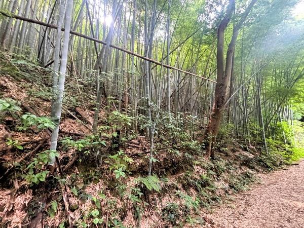 糸島市川付字荒平土地の現地土地写真画像
