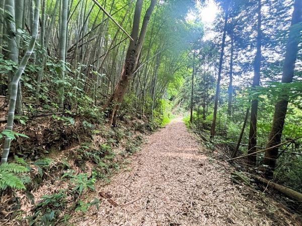 糸島市川付字荒平土地の前面道路含む現地写真画像