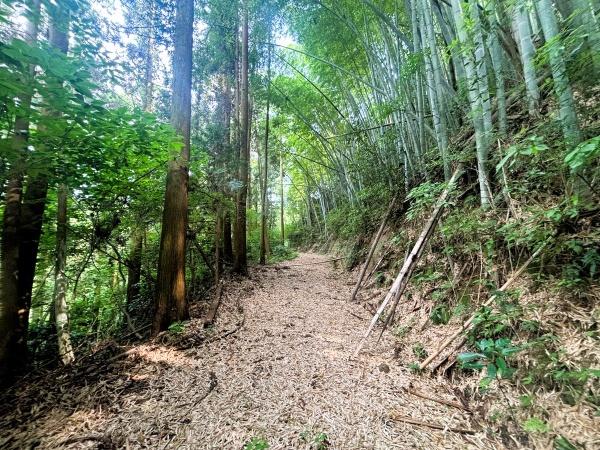 糸島市川付字荒平土地の前面道路含む現地写真画像