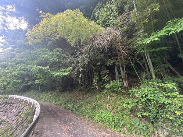 福岡市早良区大字飯場土地のその他現地画像
