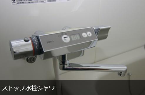 ホワイトエクセルのバス画像