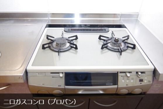 キャメロットリブのキッチン画像