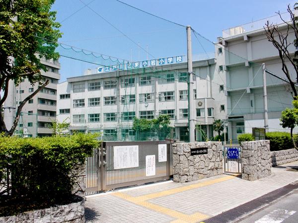 江戸川区南小岩8丁目戸建の小学校画像