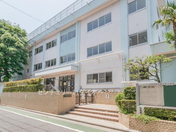 江戸川区西小岩1丁目賃貸併用住宅の小学校画像