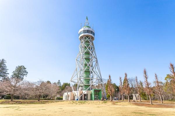 山武市美杉野2丁目戸建の公園画像