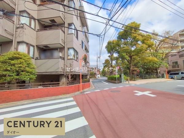 プリムローズのその他現地画像