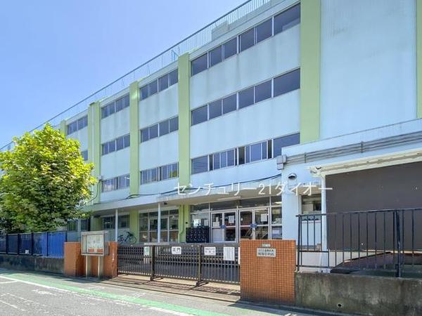 ドラゴンマンション金町壱番館の小学校画像