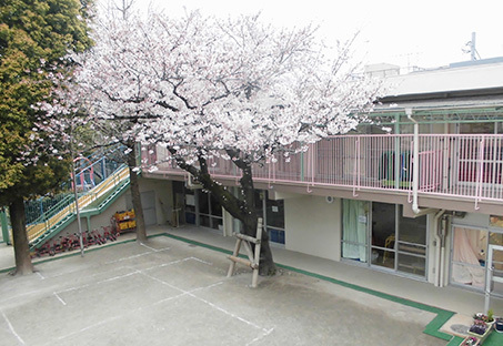 松島２丁目戸建の幼稚園・保育園画像