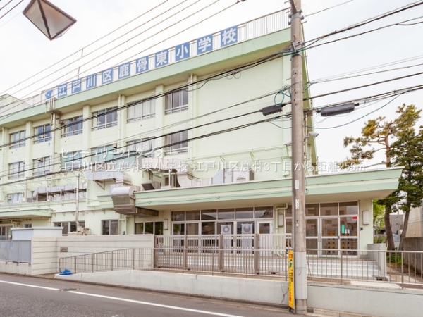 江戸川区鹿骨3丁目2号棟の小学校画像