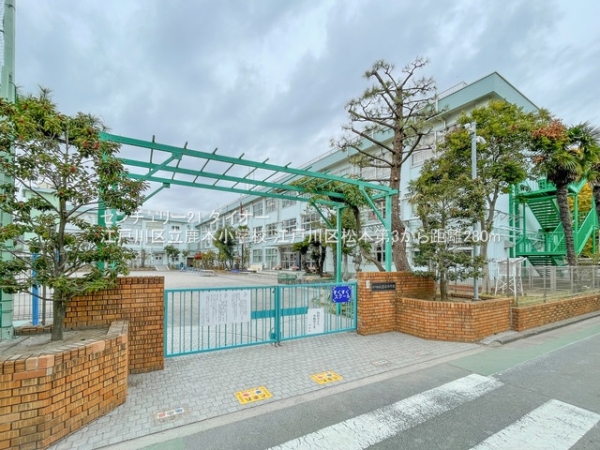 江戸川区松本第33号棟の小学校画像