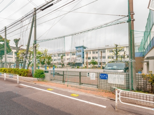 江戸川区平井７丁目の土地の小学校画像