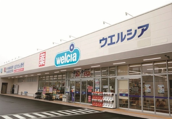 ライオンズマンション小岩第５のドラッグストア画像