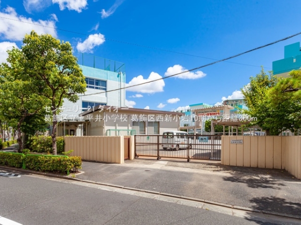 葛飾区西新小岩５丁目の新築一戸建の小学校画像
