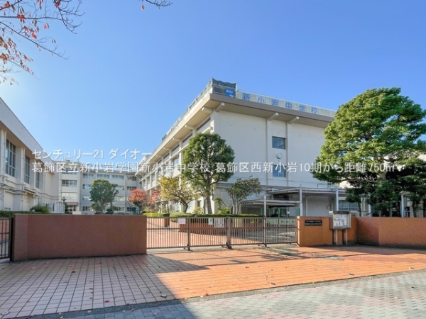 葛飾区西新小岩５丁目の新築一戸建の中学校画像