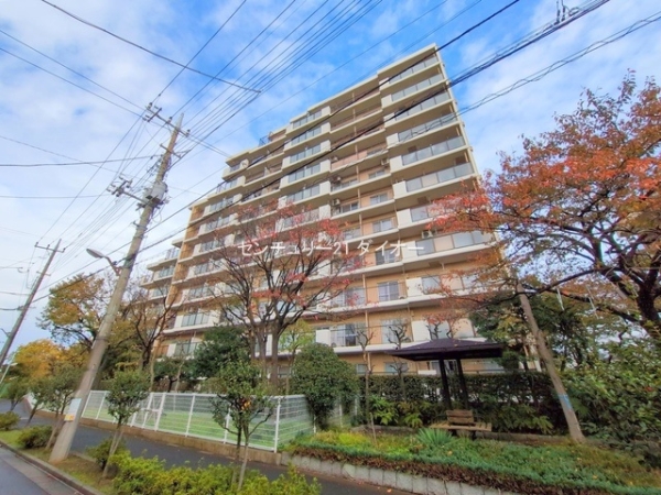 ガーデンプラザ柴又壱番館10Fフルリノ済のその他現地画像
