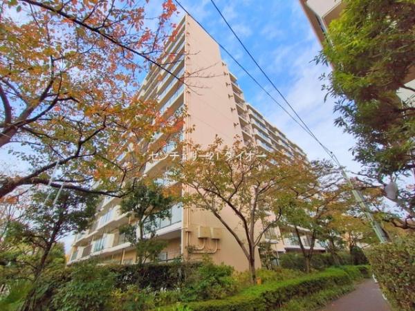 ガーデンプラザ柴又壱番館10Fフルリノ済のその他現地画像
