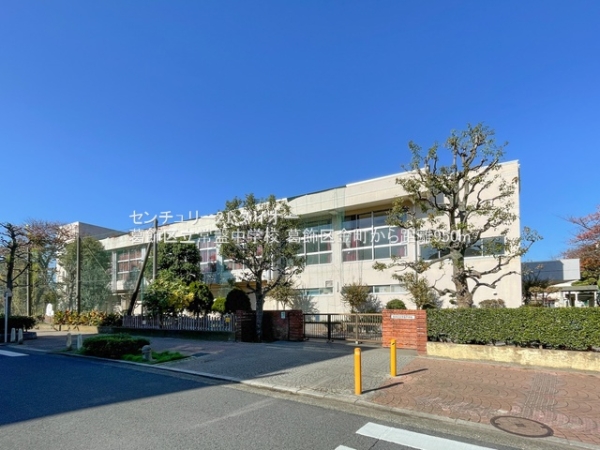 葛飾区金町1号棟の中学校画像