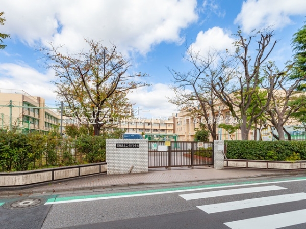 小菅二丁目新築の小学校画像