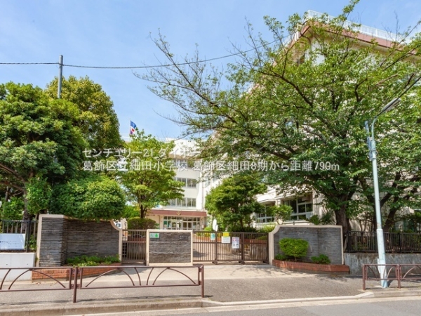 細田５丁目新築住宅の小学校画像