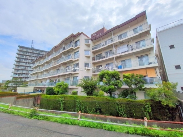 ルネ立石リフォ 中古マンション
