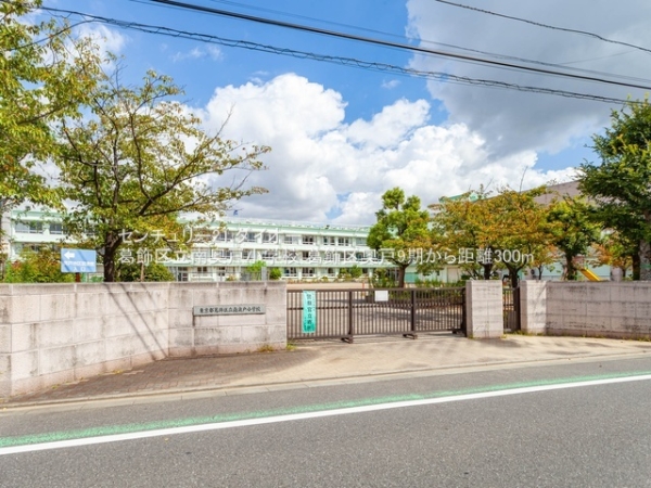 奥戸２丁目1号棟の小学校画像