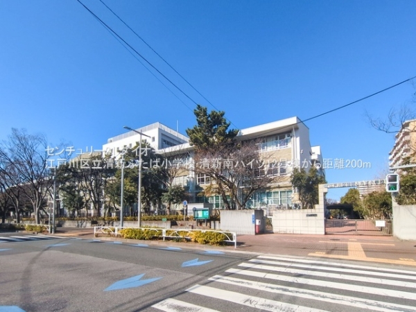 清新南ハイツ１２号棟フルリフォの小学校画像