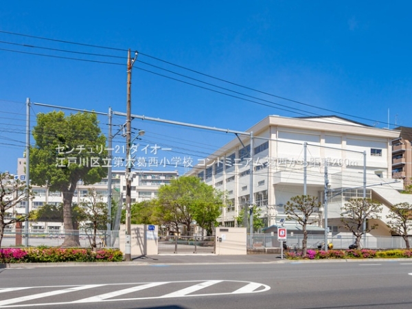 コンドミニアム葛西リフォ済の小学校画像