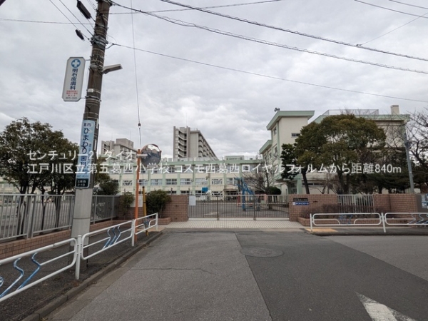 コスモ西葛西ロイヤルフォルムリフォ済の小学校画像