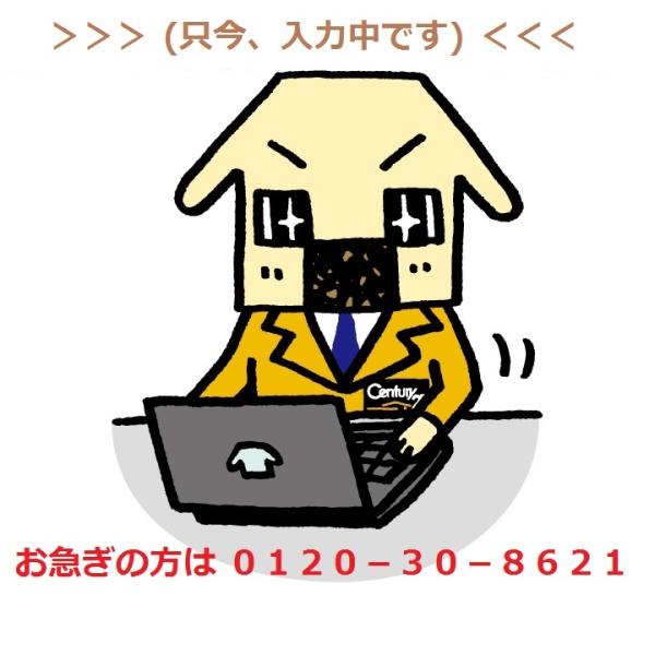 レーベンハイム金町アスティ 中古マンション