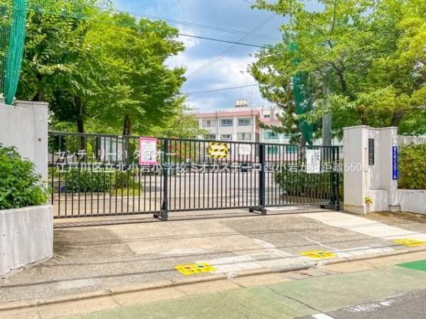 ミオカステーロ西小岩リノベ済ペット可の小学校画像