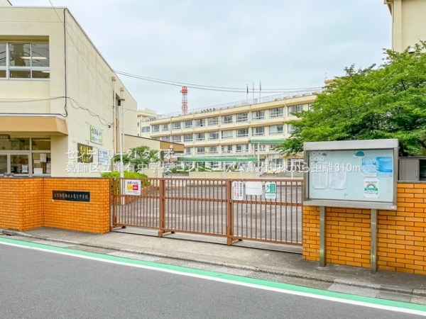 コンドミニアム亀有B棟の中学校画像