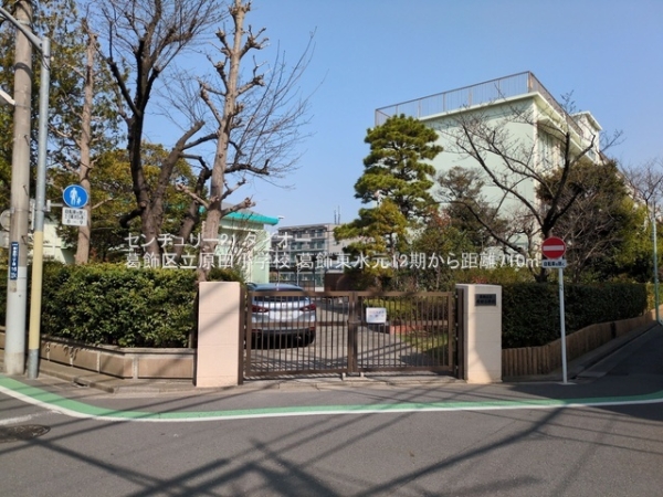 葛飾区東水元１丁目の新築一戸建の小学校画像