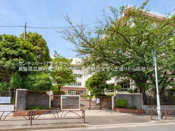 ステイツ小岩細田せせらぎ通りリノ済の小学校画像