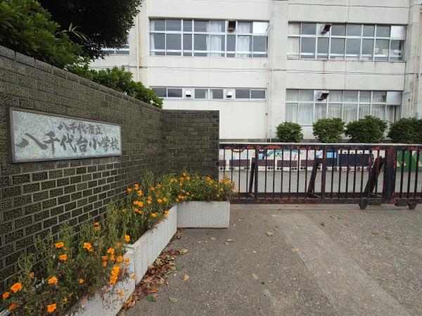 八千代台南1丁目戸建の小学校画像