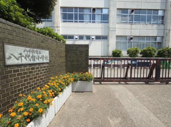 八千代台南１丁目戸建の小学校画像