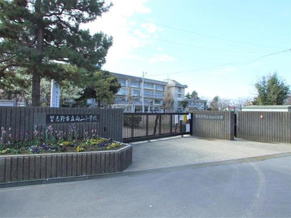 昭和コーポ谷津A棟の小学校画像