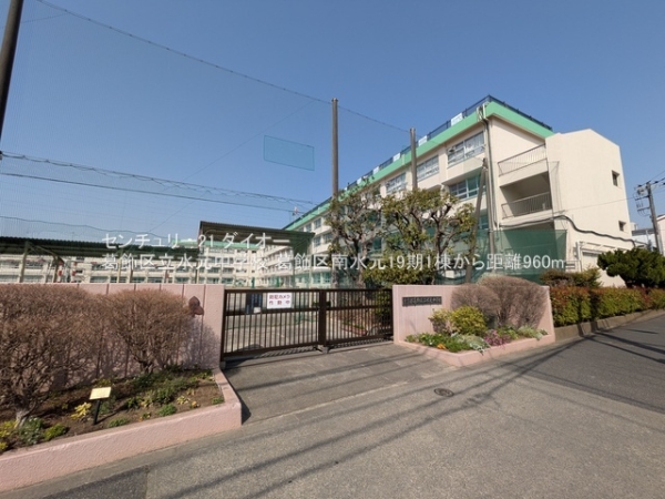 葛飾区南水元４丁目の新築一戸建の中学校画像