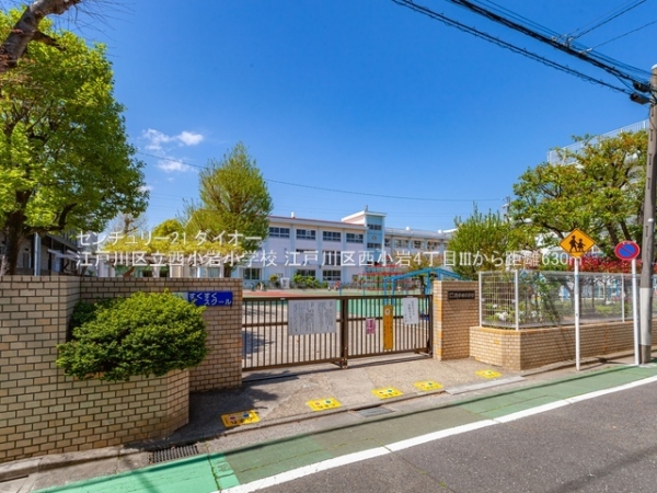 江戸川区西小岩４丁目の新築一戸建の小学校画像
