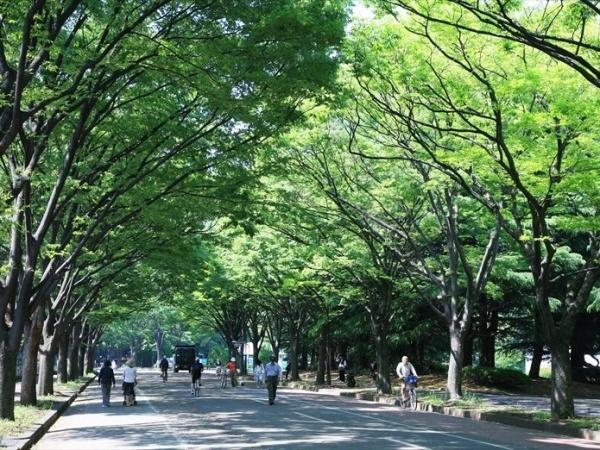 世田谷区駒沢1丁目の公園画像