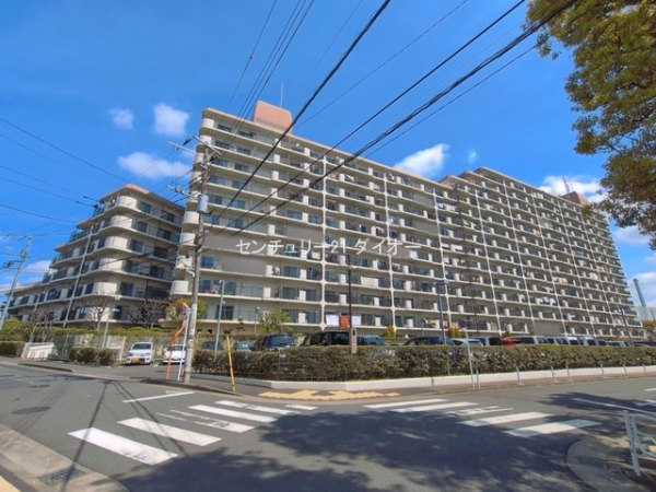 南篠崎スカイハイツＢ棟のその他現地画像