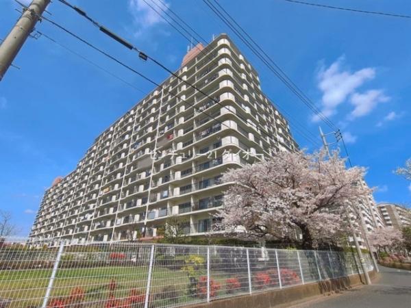 南篠崎スカイハイツＢ棟のその他現地画像