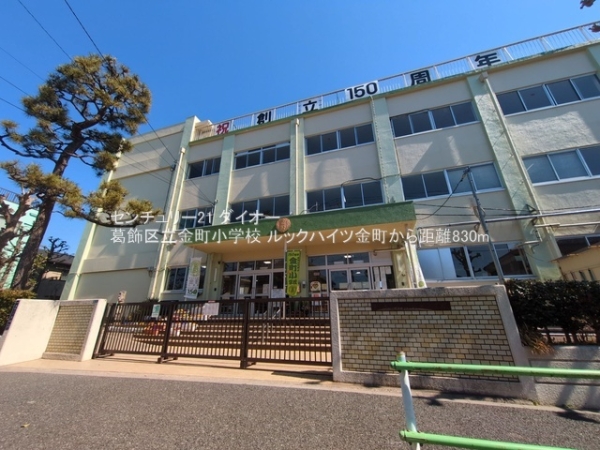 ルックハイツ金町の小学校画像