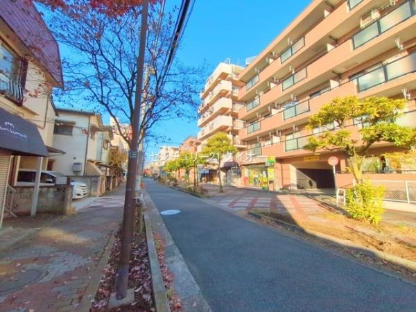 キャッスルマンションお花茶屋のその他現地画像